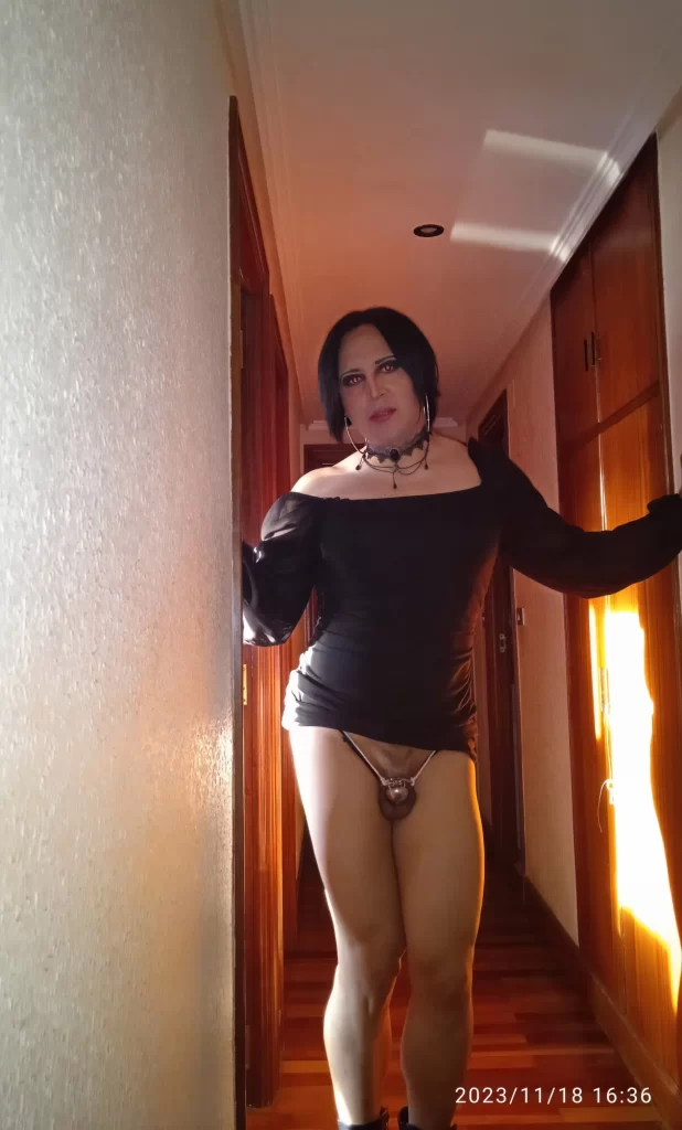 Sissy taniax,Nomvember 2023