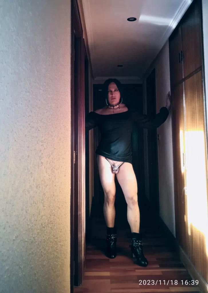 Sissy taniax,Nomvember 2023